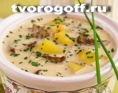 Суп сырный «Грибок»